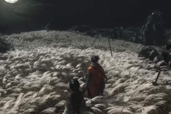 只狼影逝二度精英敵人怎么打 只狼影逝二度忍殺回血技能是哪個