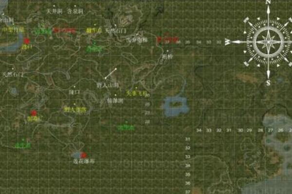 綠色地獄鐵礦層怎么采集 綠色地獄受傷解決方法